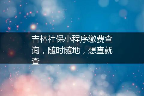 吉林社保小程序缴费查询，随时随地，想查就查