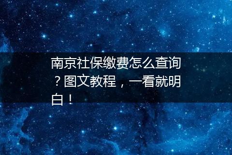 南京社保缴费怎么查询？图文教程，一看就明白！