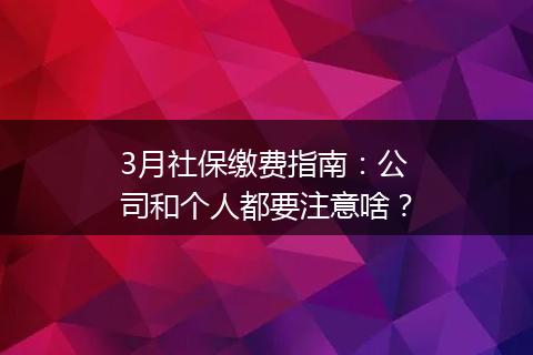 3月社保缴费指南：公司和个人都要注意啥？
