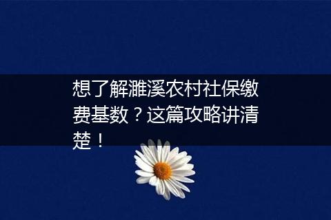 想了解濉溪农村社保缴费基数？这篇攻略讲清楚！