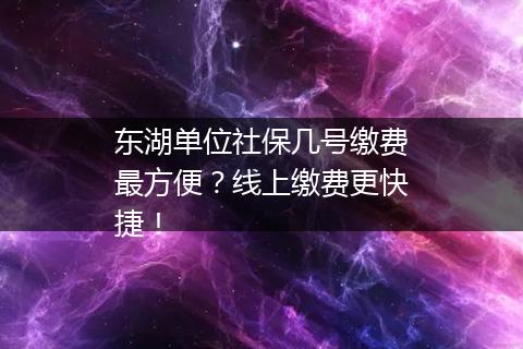 东湖单位社保几号缴费最方便？线上缴费更快捷！