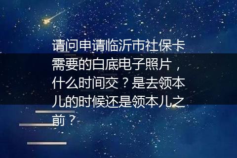 请问申请临沂市社保卡需要的白底电子照片，什么时间交？是去领本儿的时候还是领本儿之前？