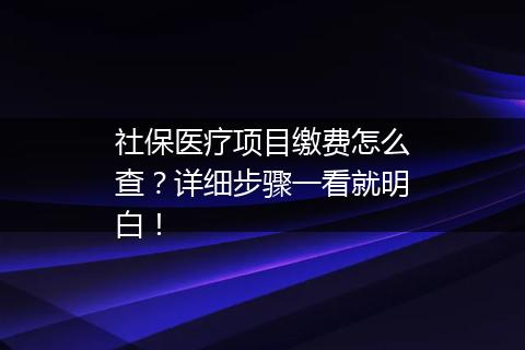 社保医疗项目缴费怎么查？详细步骤一看就明白！