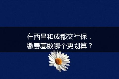 在西昌和成都交社保，缴费基数哪个更划算？