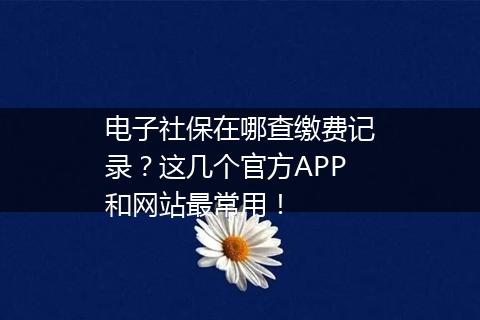 电子社保在哪查缴费记录？这几个官方APP和网站最常用！
