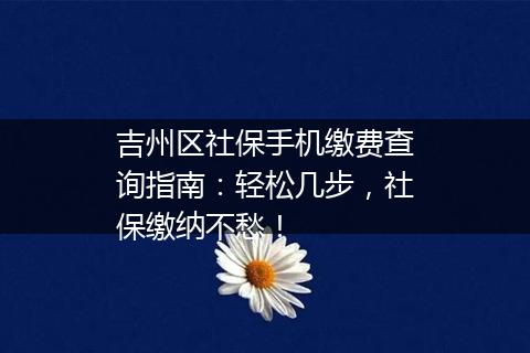吉州区社保手机缴费查询指南：轻松几步，社保缴纳不愁！