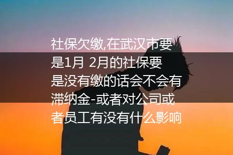 社保欠缴,在武汉市要是1月 2月的社保要是没有缴的话会不会有滞纳金-或者对公司或者员工有没有什么影响