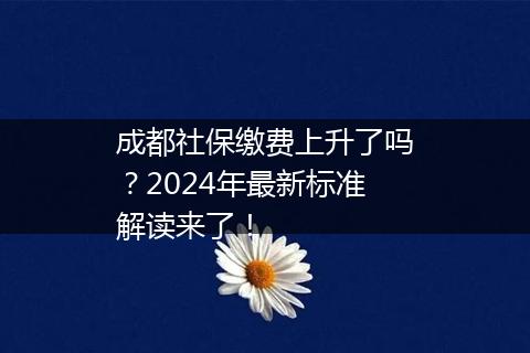 成都社保缴费上升了吗？2024年最新标准解读来了！