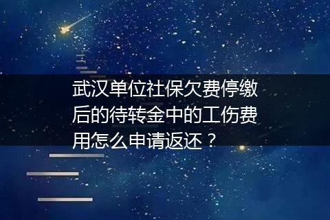 武汉单位社保欠费停缴后的待转金中的工伤费用怎么申请返还？