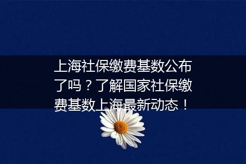 上海社保缴费基数公布了吗？了解国家社保缴费基数上海最新动态！