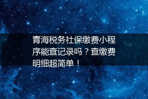 青海税务社保缴费小程序能查记录吗？查缴费明细超简单！