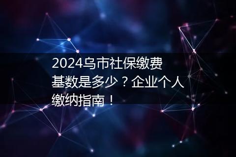 2024乌市社保缴费基数是多少？企业个人缴纳指南！