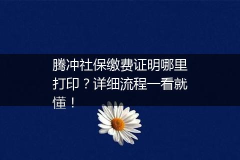 腾冲社保缴费证明哪里打印？详细流程一看就懂！