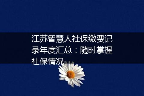 江苏智慧人社保缴费记录年度汇总：随时掌握社保情况