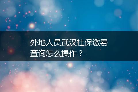 外地人员武汉社保缴费查询怎么操作？