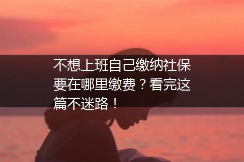 不想上班自己缴纳社保要在哪里缴费？看完这篇不迷路！