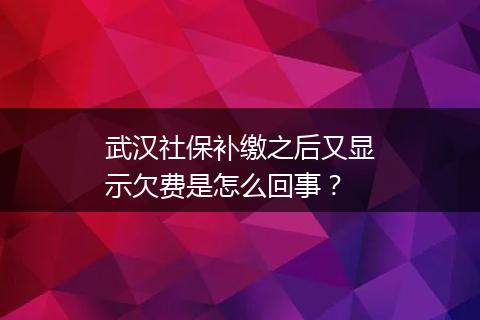 武汉社保补缴之后又显示欠费是怎么回事？