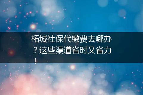 柘城社保代缴费去哪办？这些渠道省时又省力！
