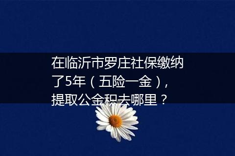 在临沂市罗庄社保缴纳了5年（五险一金）,提取公金积去哪里？