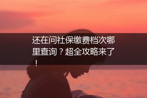 还在问社保缴费档次哪里查询？超全攻略来了！