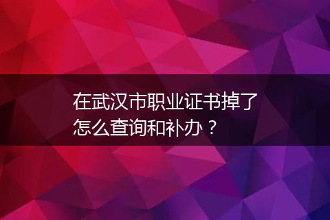 在武汉市职业证书掉了怎么查询和补办？