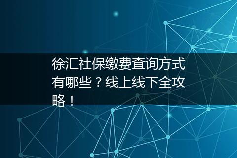 徐汇社保缴费查询方式有哪些？线上线下全攻略！