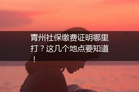 青州社保缴费证明哪里打？这几个地点要知道！
