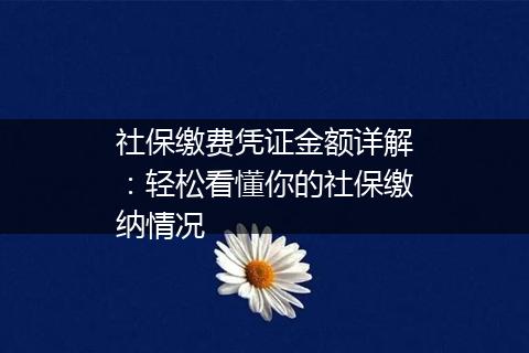 社保缴费凭证金额详解：轻松看懂你的社保缴纳情况