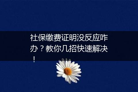 社保缴费证明没反应咋办？教你几招快速解决！
