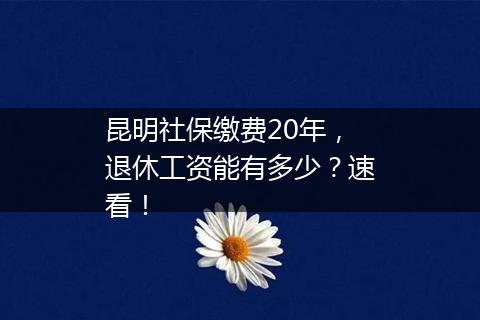 昆明社保缴费20年，退休工资能有多少？速看！