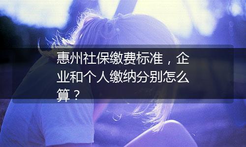 惠州社保缴费标准，企业和个人缴纳分别怎么算？