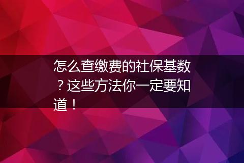 怎么查缴费的社保基数？这些方法你一定要知道！