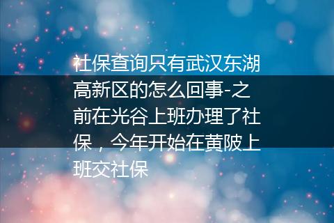 社保查询只有武汉东湖高新区的怎么回事-之前在光谷上班办理了社保，今年开始在黄陂上班交社保