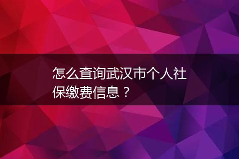 怎么查询武汉市个人社保缴费信息？