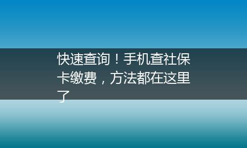 快速查询！手机查社保卡缴费，方法都在这里了