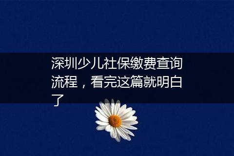 深圳少儿社保缴费查询流程，看完这篇就明白了