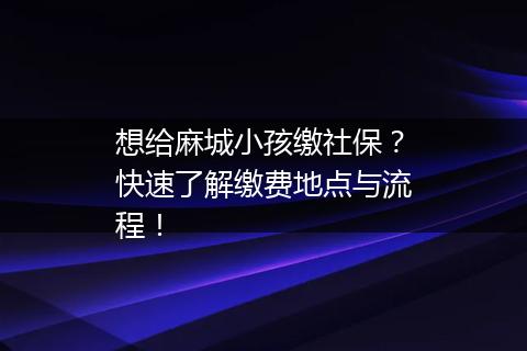 想给麻城小孩缴社保？快速了解缴费地点与流程！