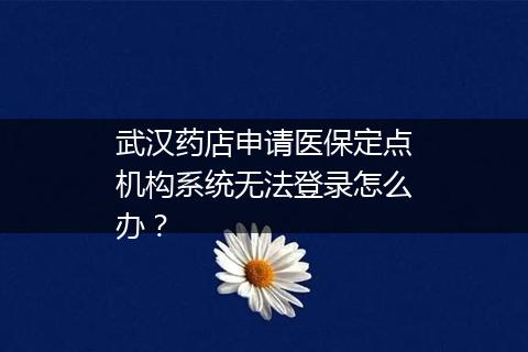 武汉药店申请医保定点机构系统无法登录怎么办？