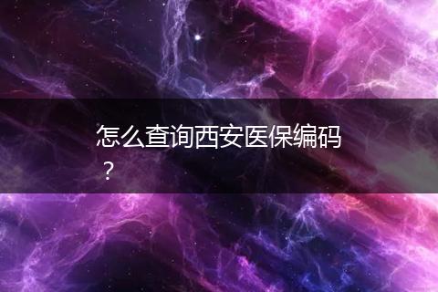 怎么查询西安医保编码？