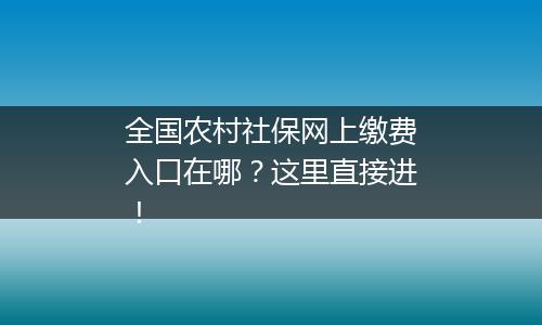 全国农村社保网上缴费入口在哪？这里直接进！