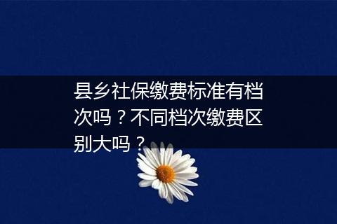 县乡社保缴费标准有档次吗？不同档次缴费区别大吗？
