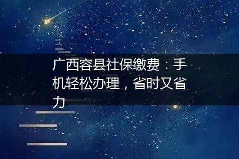 广西容县社保缴费：手机轻松办理，省时又省力