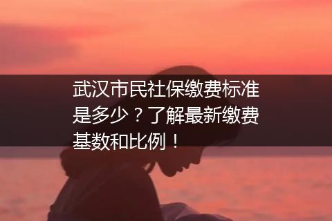武汉市民社保缴费标准是多少？了解最新缴费基数和比例！
