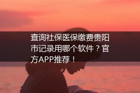 查询社保医保缴费贵阳市记录用哪个软件？官方APP推荐！