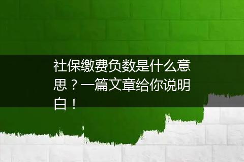 社保缴费负数是什么意思？一篇文章给你说明白！