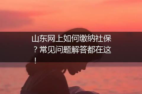 山东网上如何缴纳社保？常见问题解答都在这！