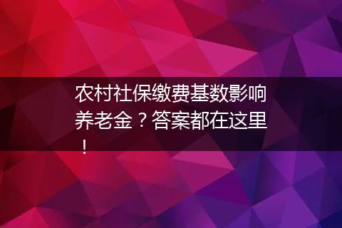 农村社保缴费基数影响养老金？答案都在这里！