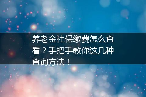 养老金社保缴费怎么查看？手把手教你这几种查询方法！