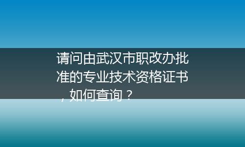 请问由武汉市职改办批准的专业技术资格证书，如何查询？
