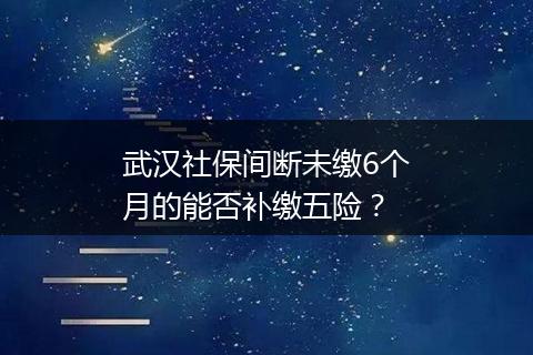 武汉社保间断未缴6个月的能否补缴五险？